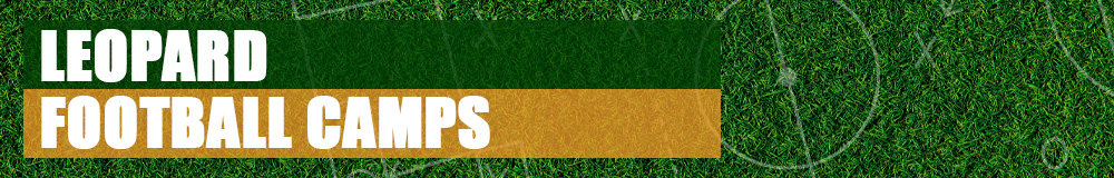 University of La Verne Football